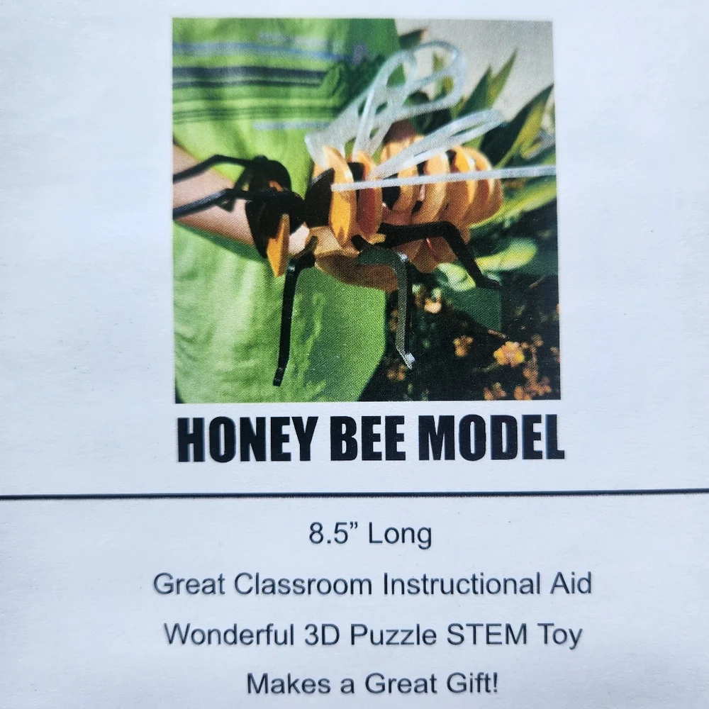 Bee Model Honeybee 3D Puzzle Honey Bees Classroom Science STEM Craft Insect Bugs